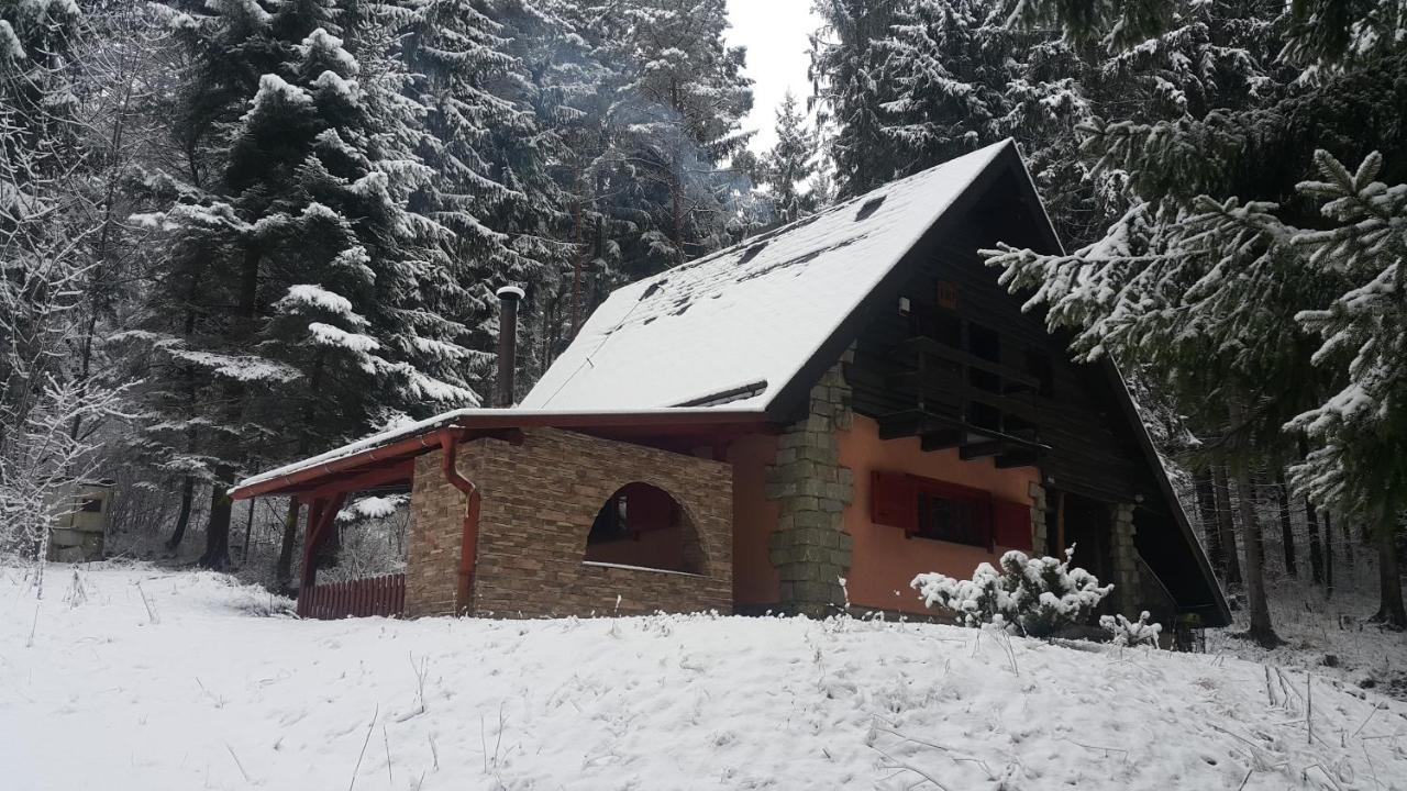 Chata Kiki Malino Brdo Ruzomberok Exteriér fotografie