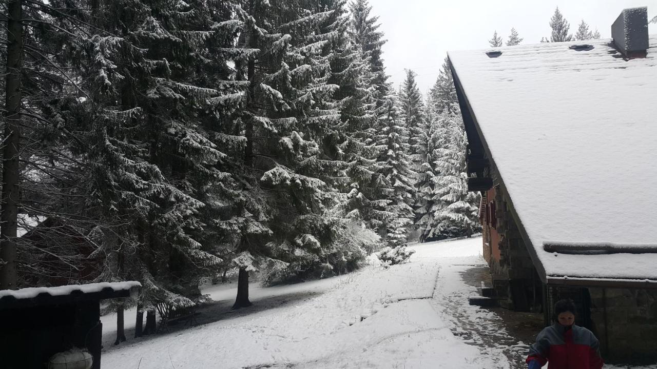 Chata Kiki Malino Brdo Ruzomberok Exteriér fotografie